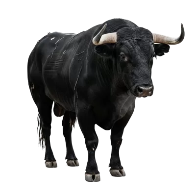 Imagen PNG para descargar